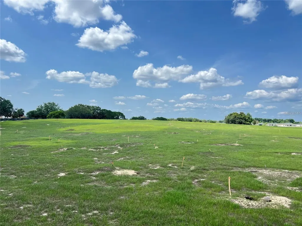 2913 Panchos Way The Villages FL 32162