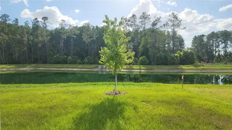 7127 Flint Creek Drive Land O Lakes FL 34638