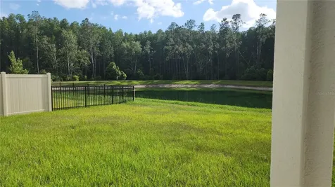 7127 Flint Creek Drive Land O Lakes FL 34638