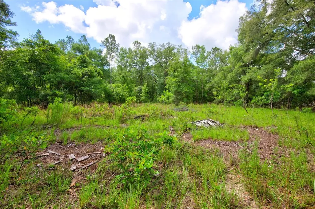 3450 NE 48th Avenue High Springs FL 32643