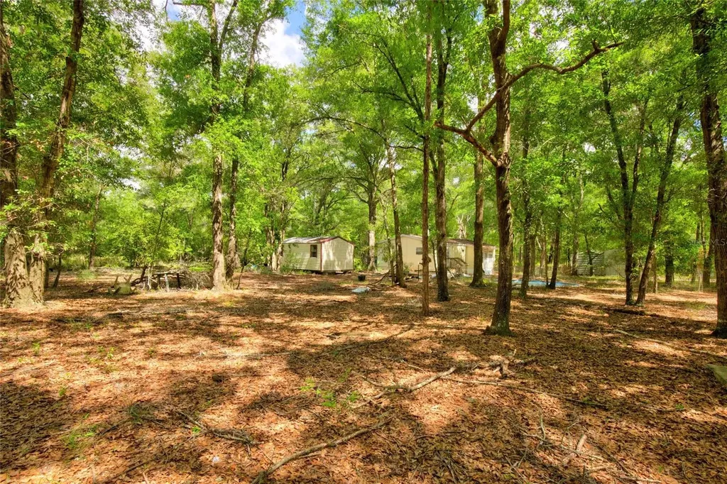3450 NE 48th Avenue High Springs FL 32643