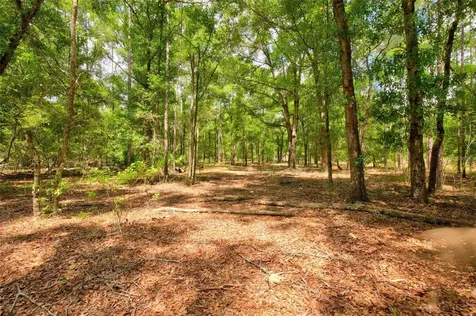 3450 NE 48th Avenue High Springs FL 32643