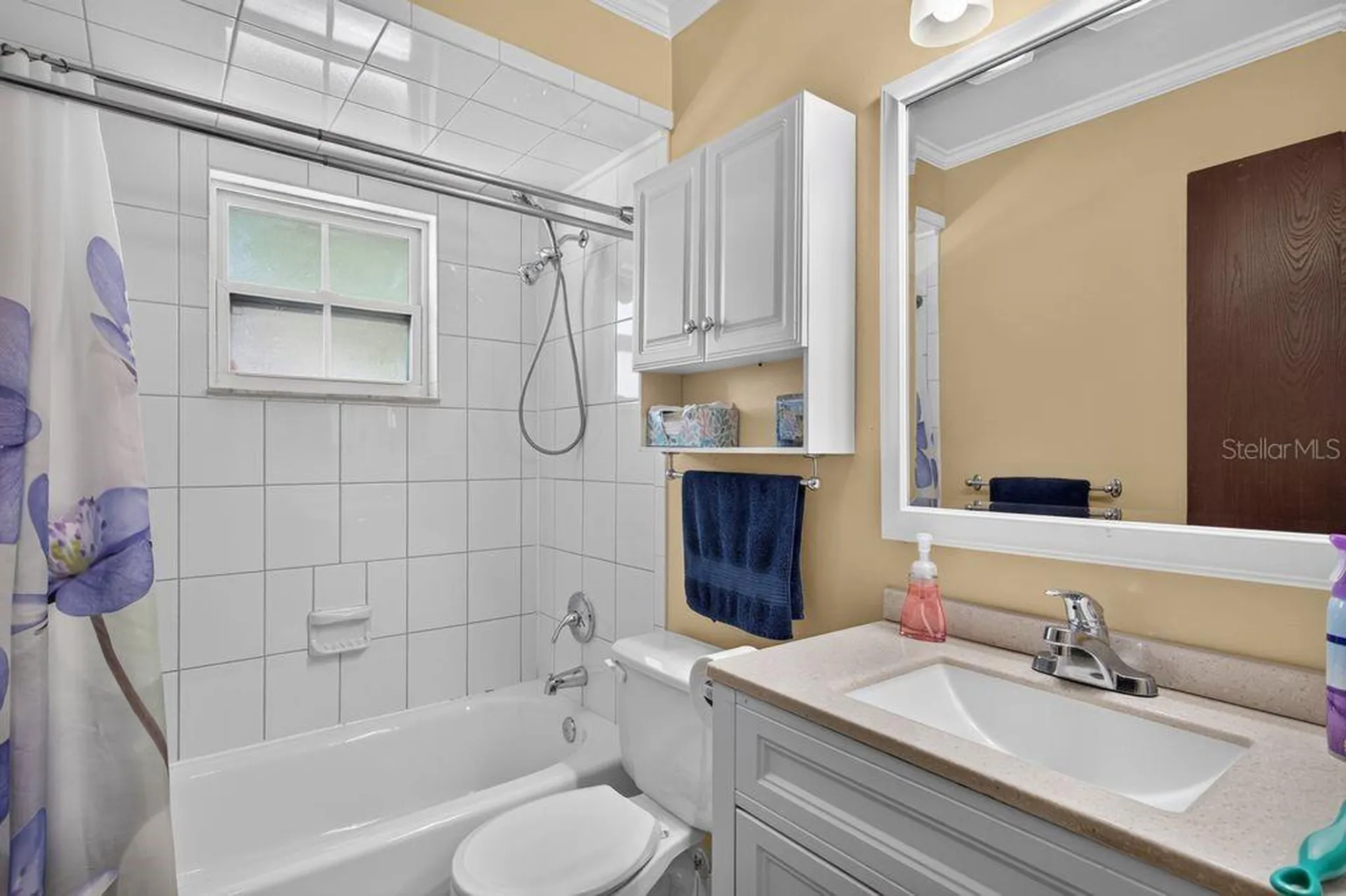 3110 Clovewood Place Seffner FL 33584