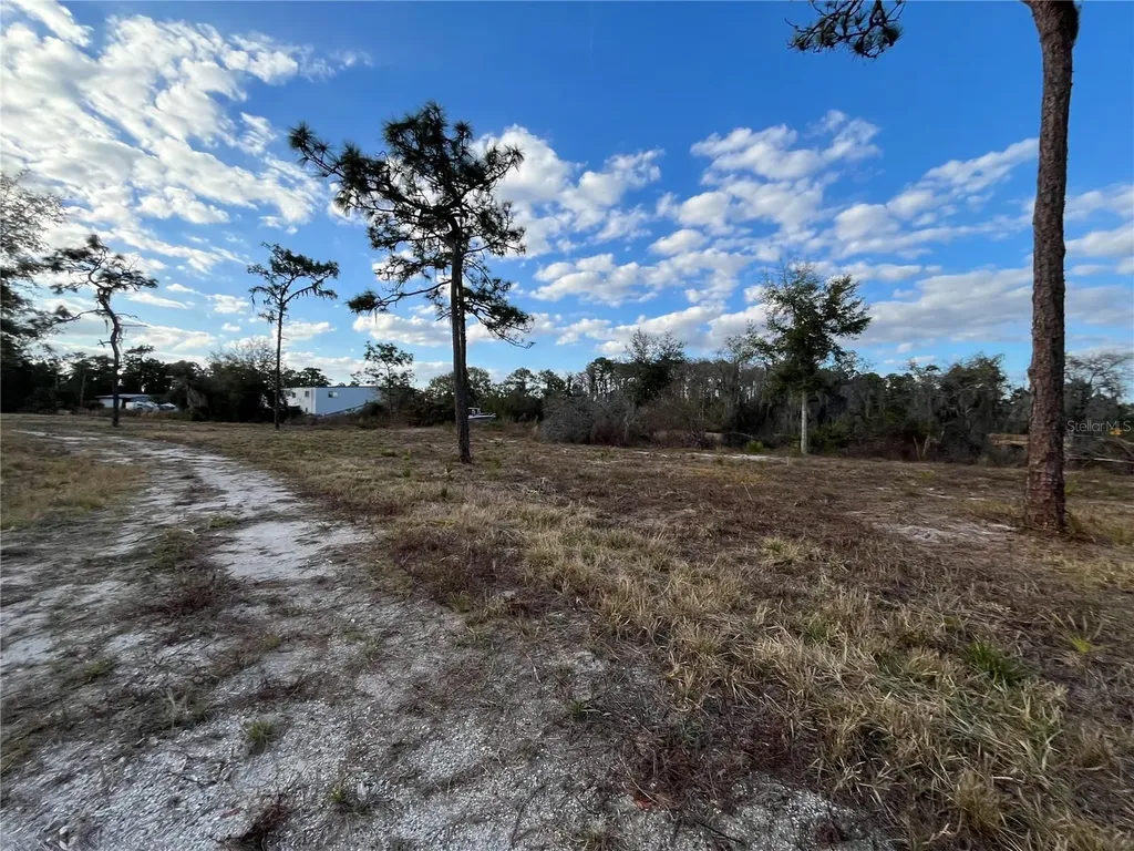 2670 Mcmichael Road St Cloud FL 34771