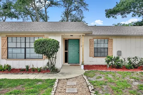 9 Bridget Terrace Ormond Beach FL 32174