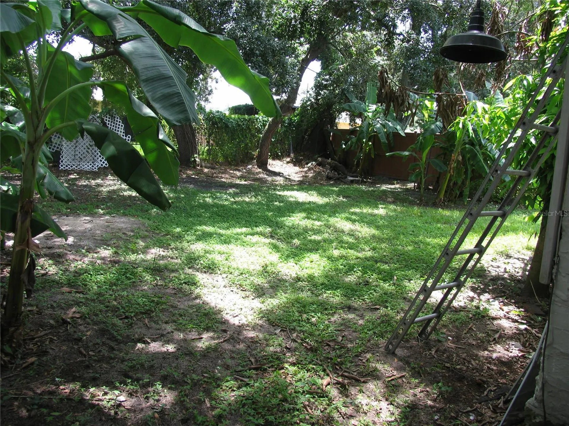 323 Dover Street Orlando FL 32811