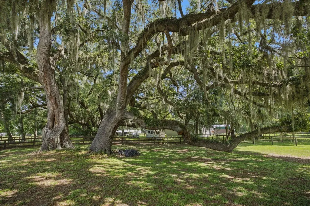 1969 SE 155th Street Summerfield FL 34491