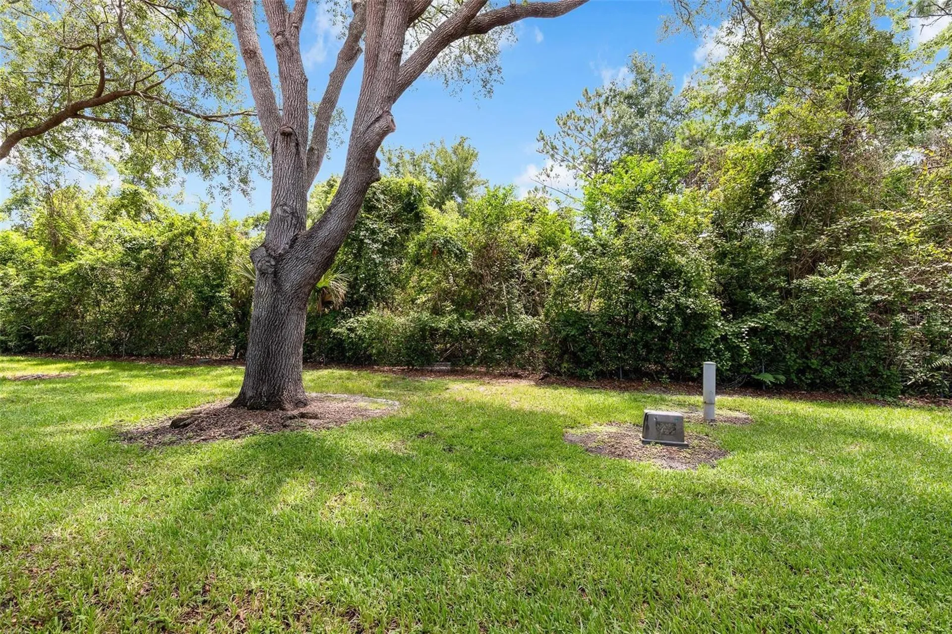 7537 Fenwick Cove Lane Orlando FL 32819