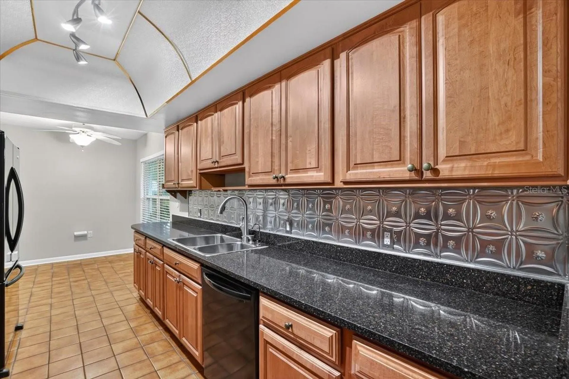 1013 Black Knight Drive Valrico FL 33594