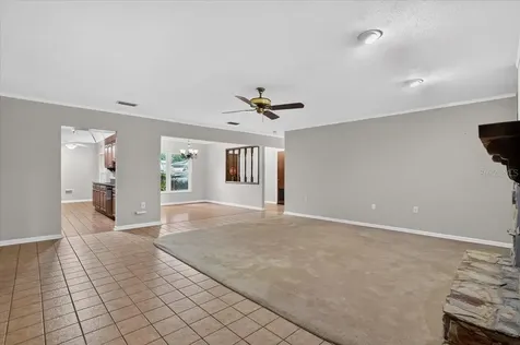 1013 Black Knight Drive Valrico FL 33594
