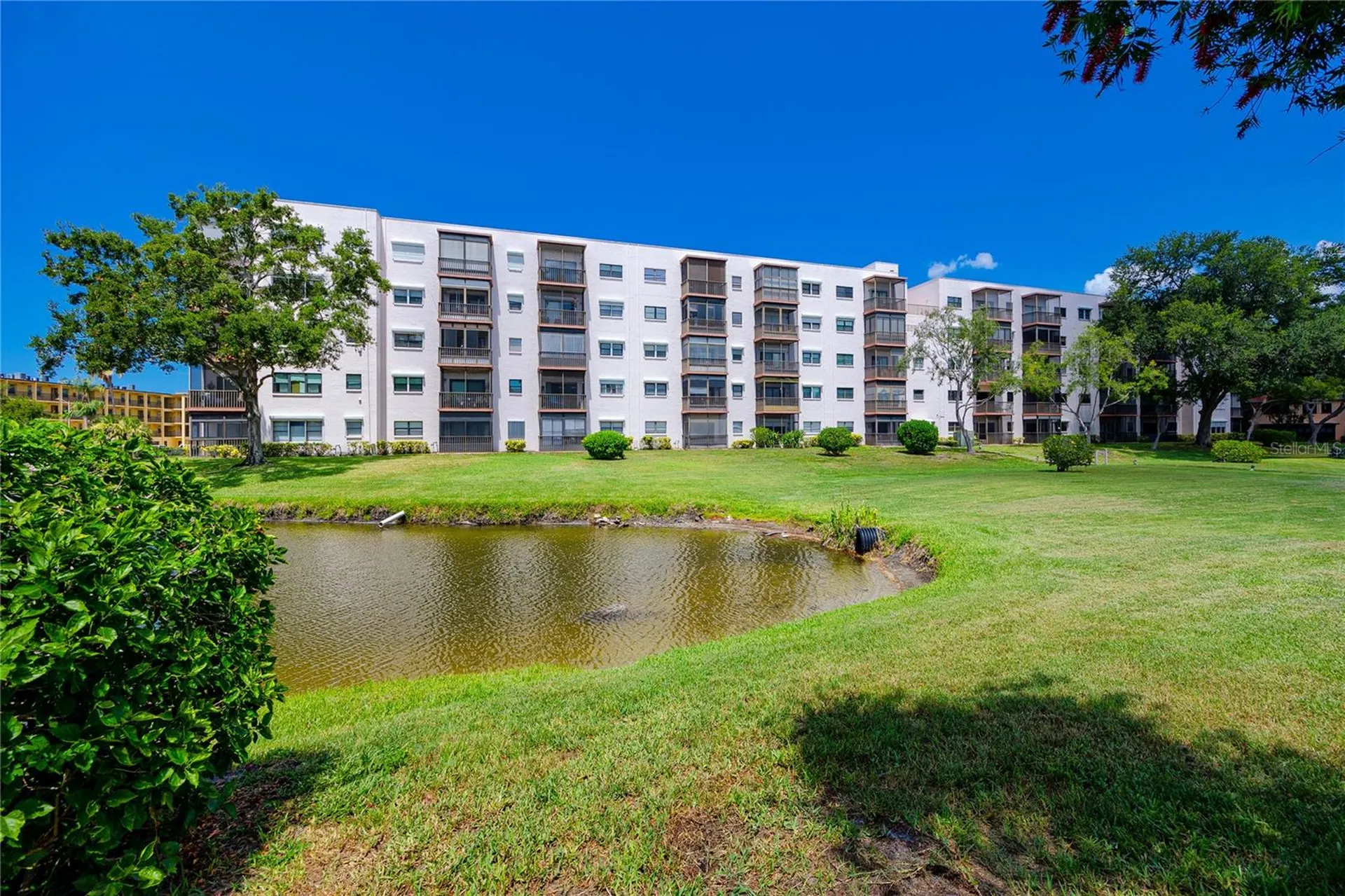 8174 Terrace Garden Drive N St Petersburg FL 33709