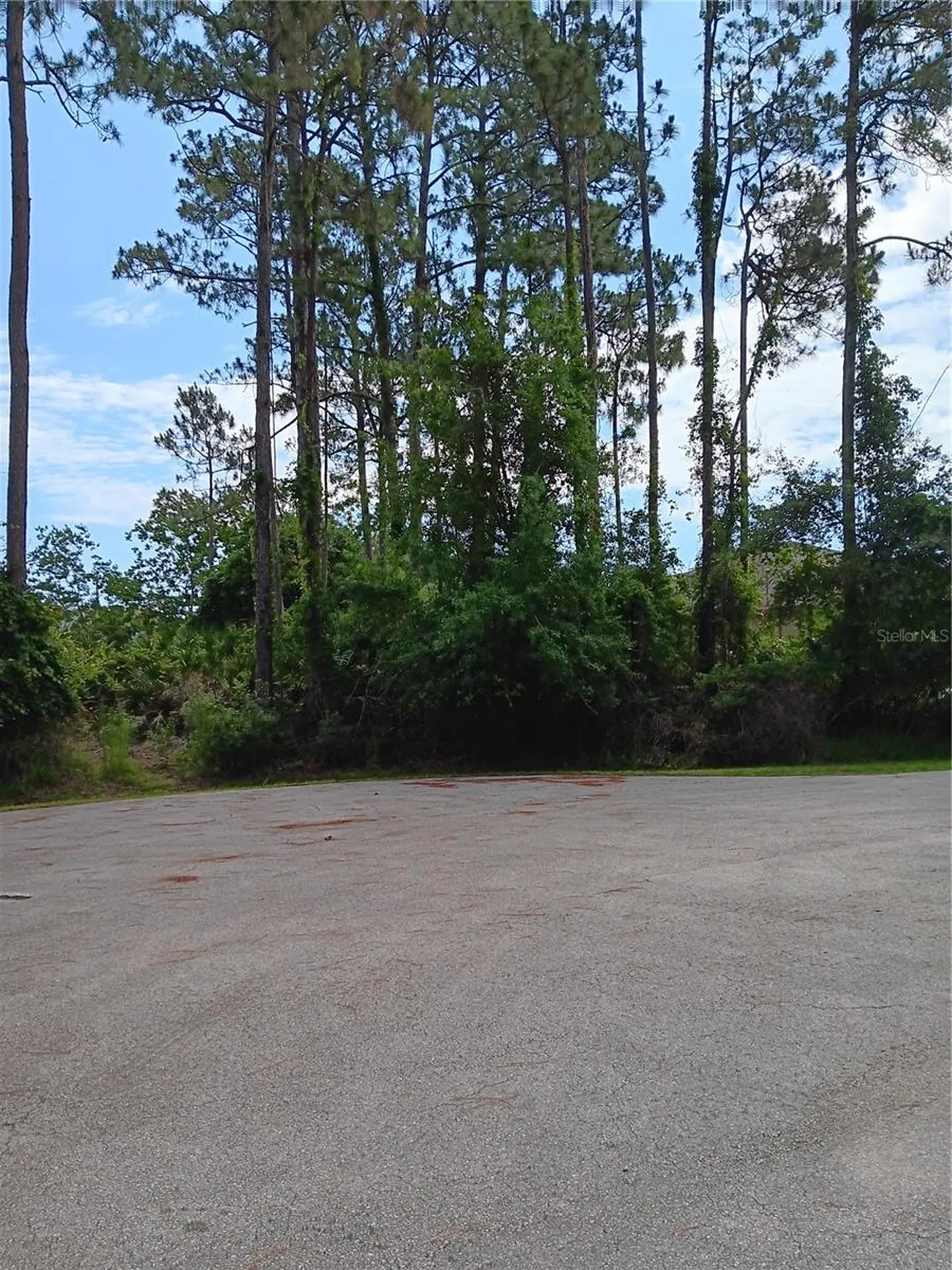 6 Lark Place Palm Coast FL 32137