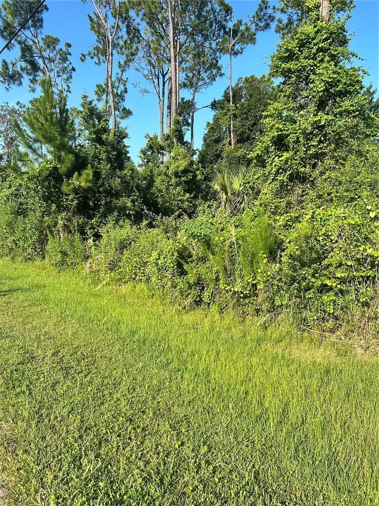 6 Ryberry Drive Palm Coast FL 32164