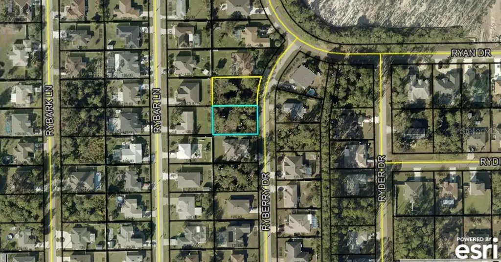 6 Ryberry Drive Palm Coast FL 32164