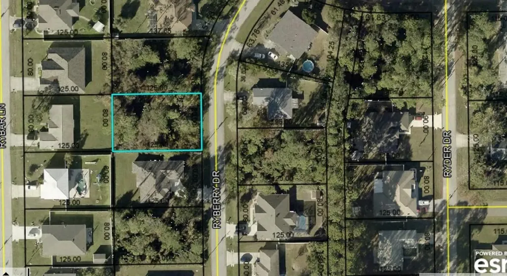 6 Ryberry Drive Palm Coast FL 32164