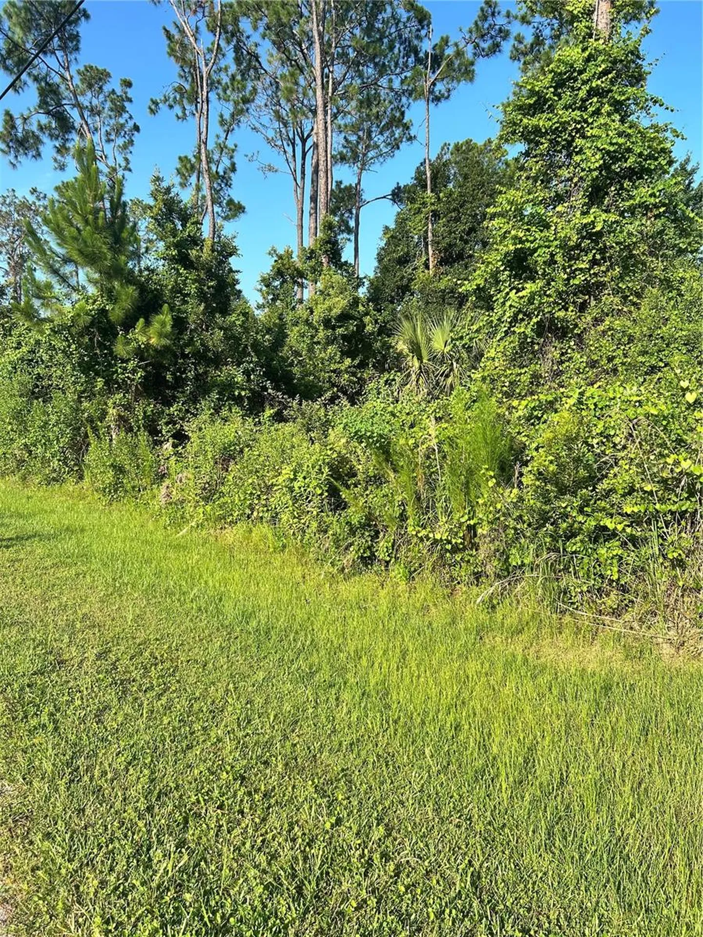 6 Ryberry Drive Palm Coast FL 32164