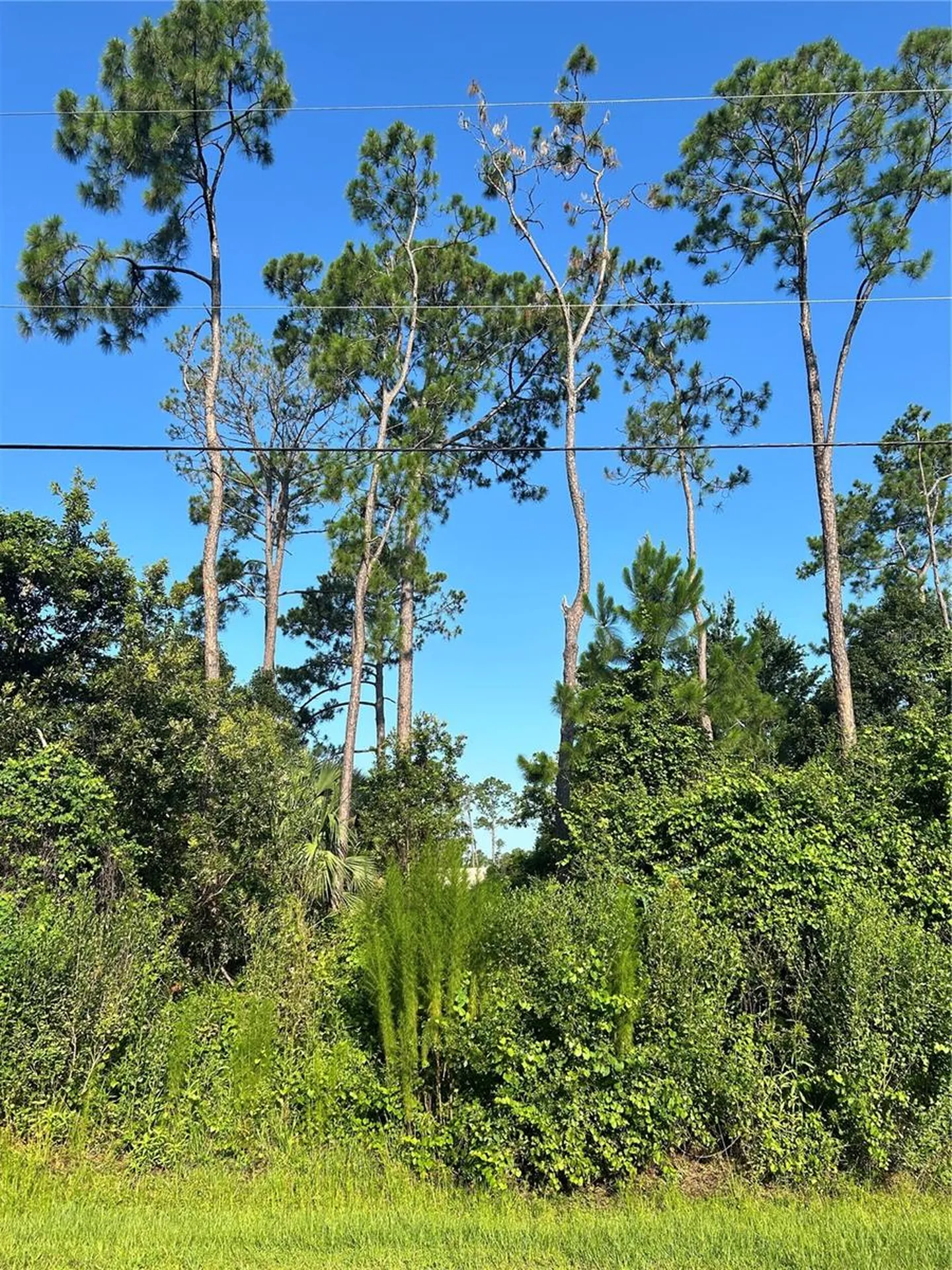 6 Ryberry Drive Palm Coast FL 32164