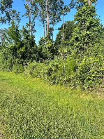 6 Ryberry Drive Palm Coast FL 32164
