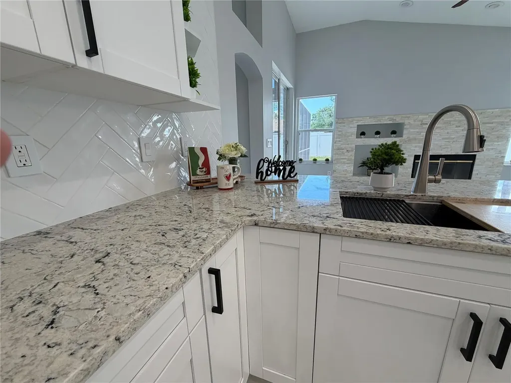 1914 Leichester Street Valrico FL 33594