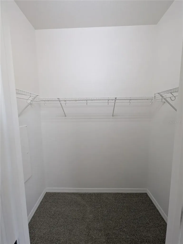 8319 King Blossom Court Tampa FL 33615