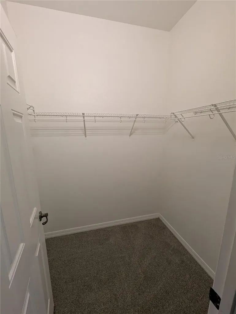 8319 King Blossom Court Tampa FL 33615
