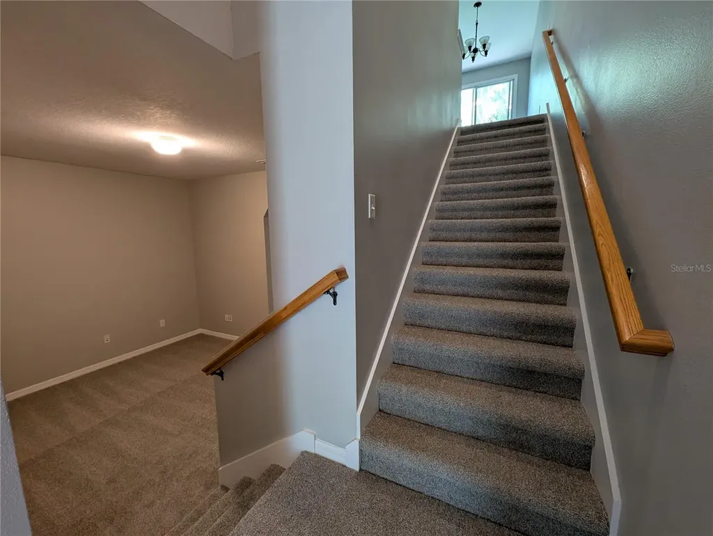 8319 King Blossom Court Tampa FL 33615