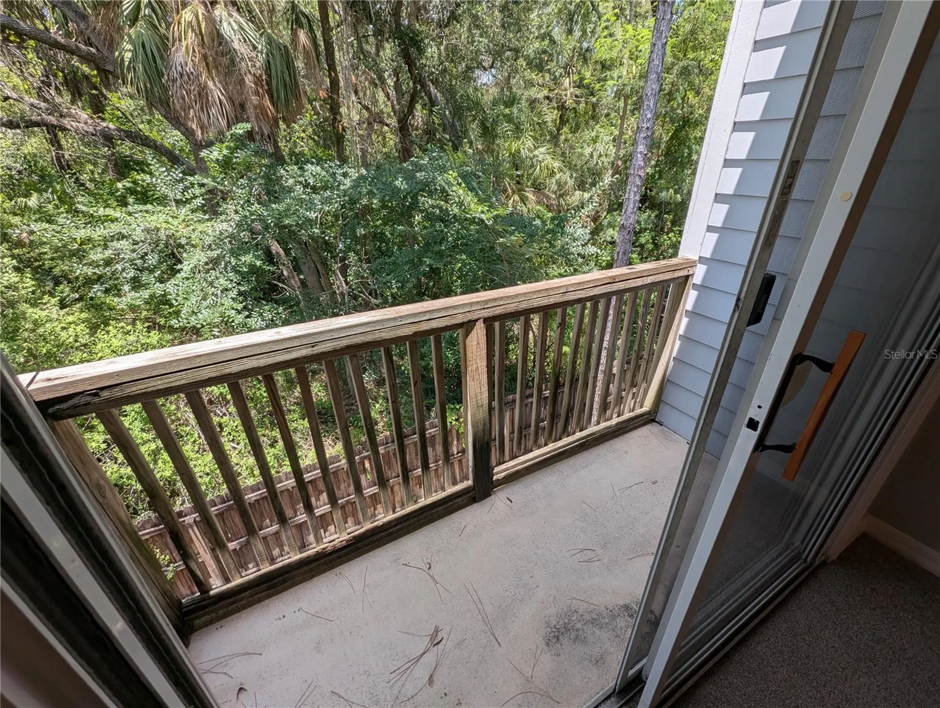 8319 King Blossom Court Tampa FL 33615