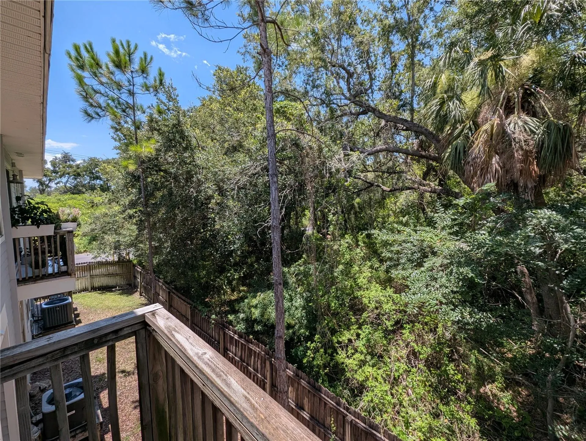 8319 King Blossom Court Tampa FL 33615