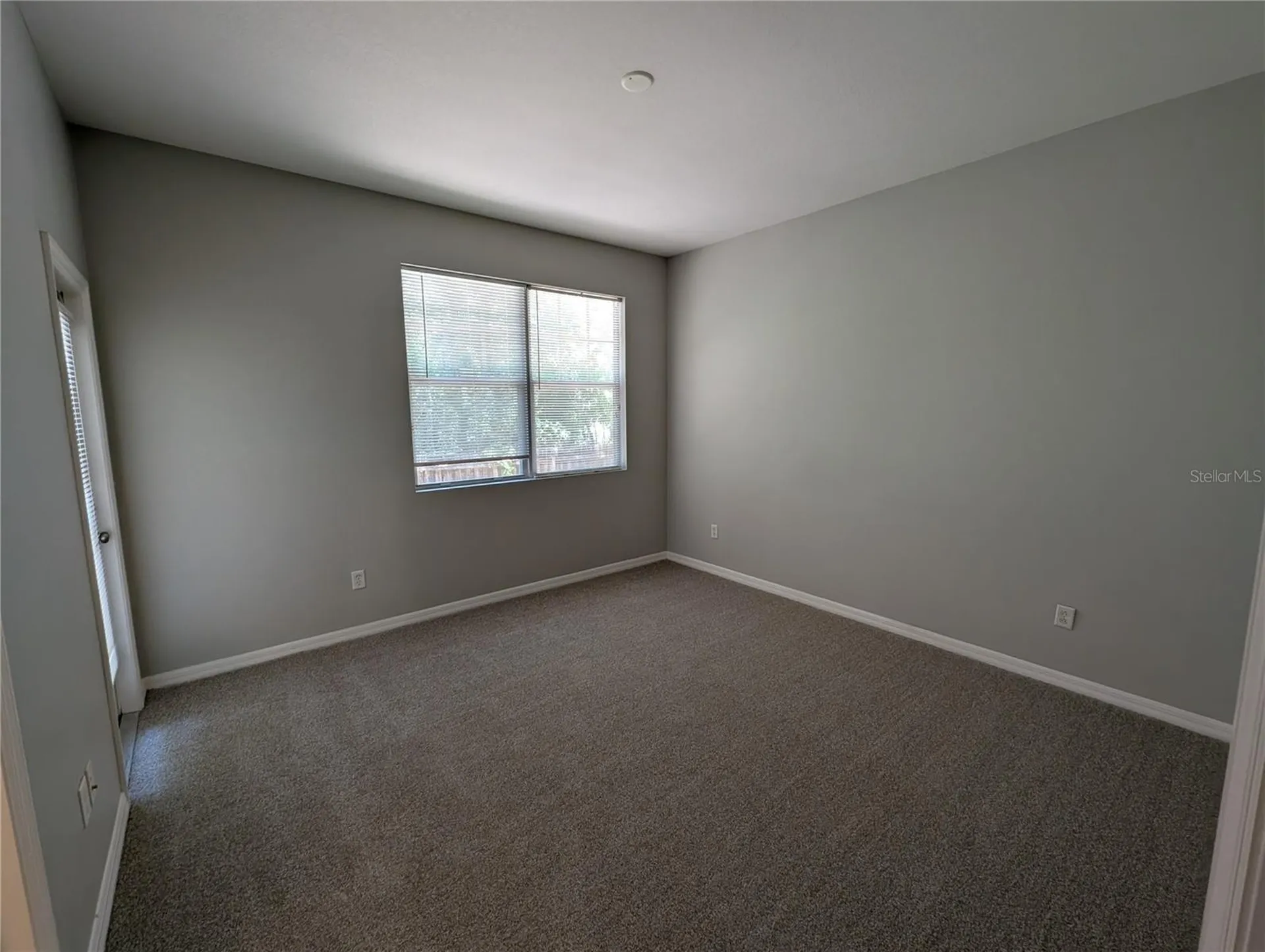 8319 King Blossom Court Tampa FL 33615