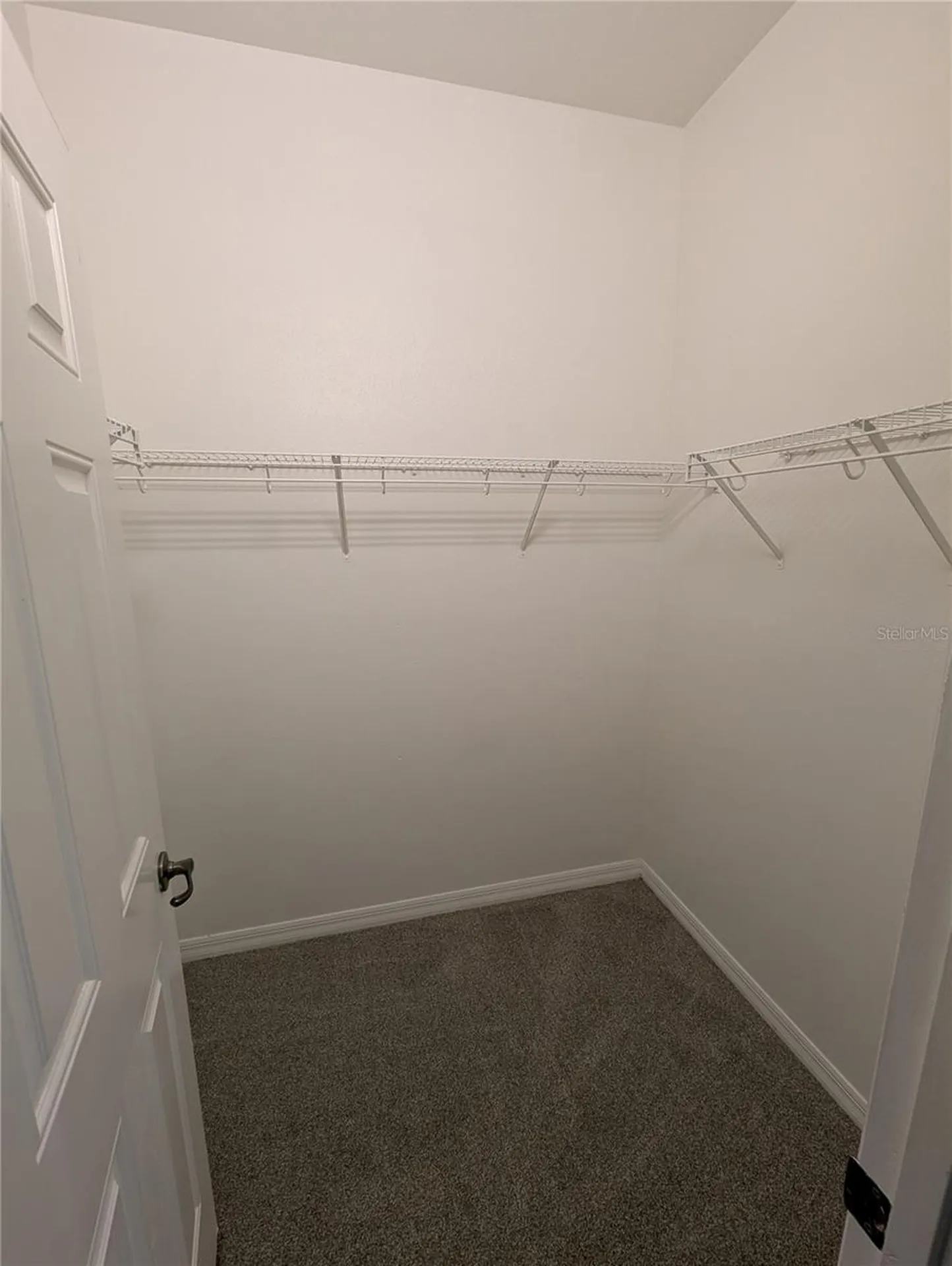 8319 King Blossom Court Tampa FL 33615