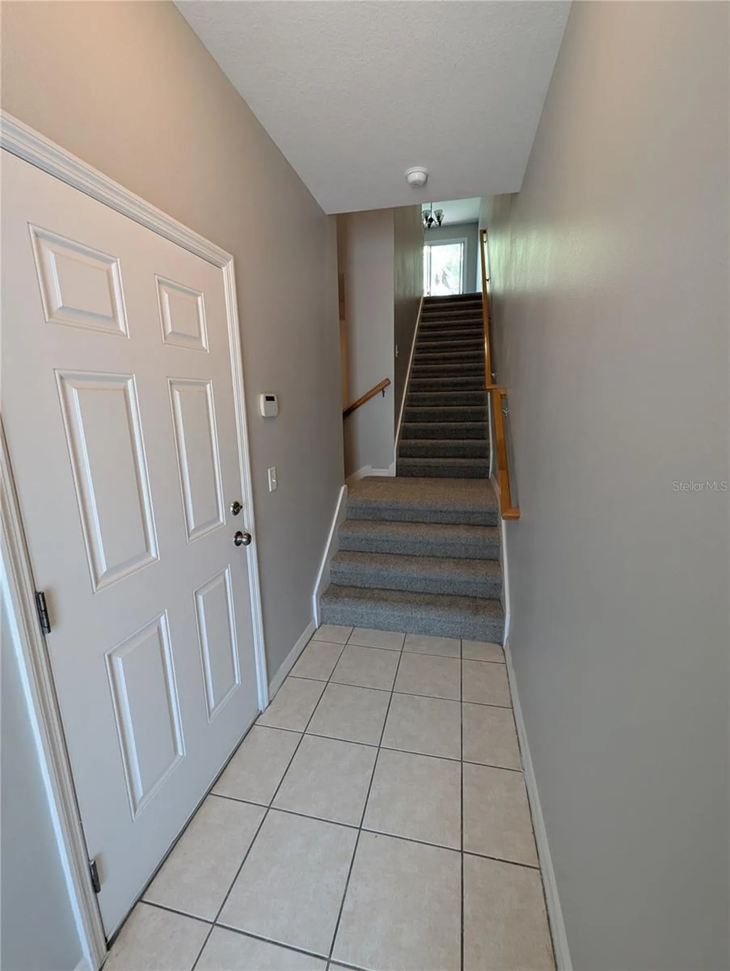 8319 King Blossom Court Tampa FL 33615