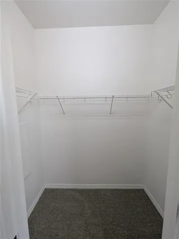 8319 King Blossom Court Tampa FL 33615