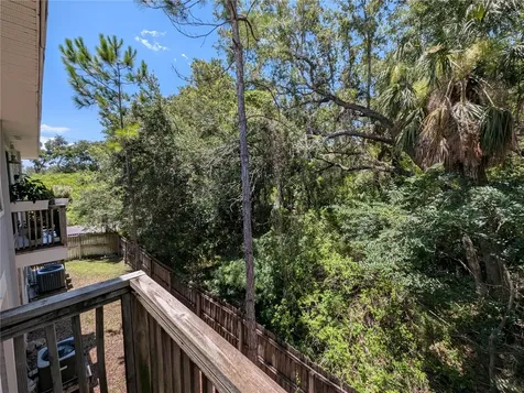 8319 King Blossom Court Tampa FL 33615