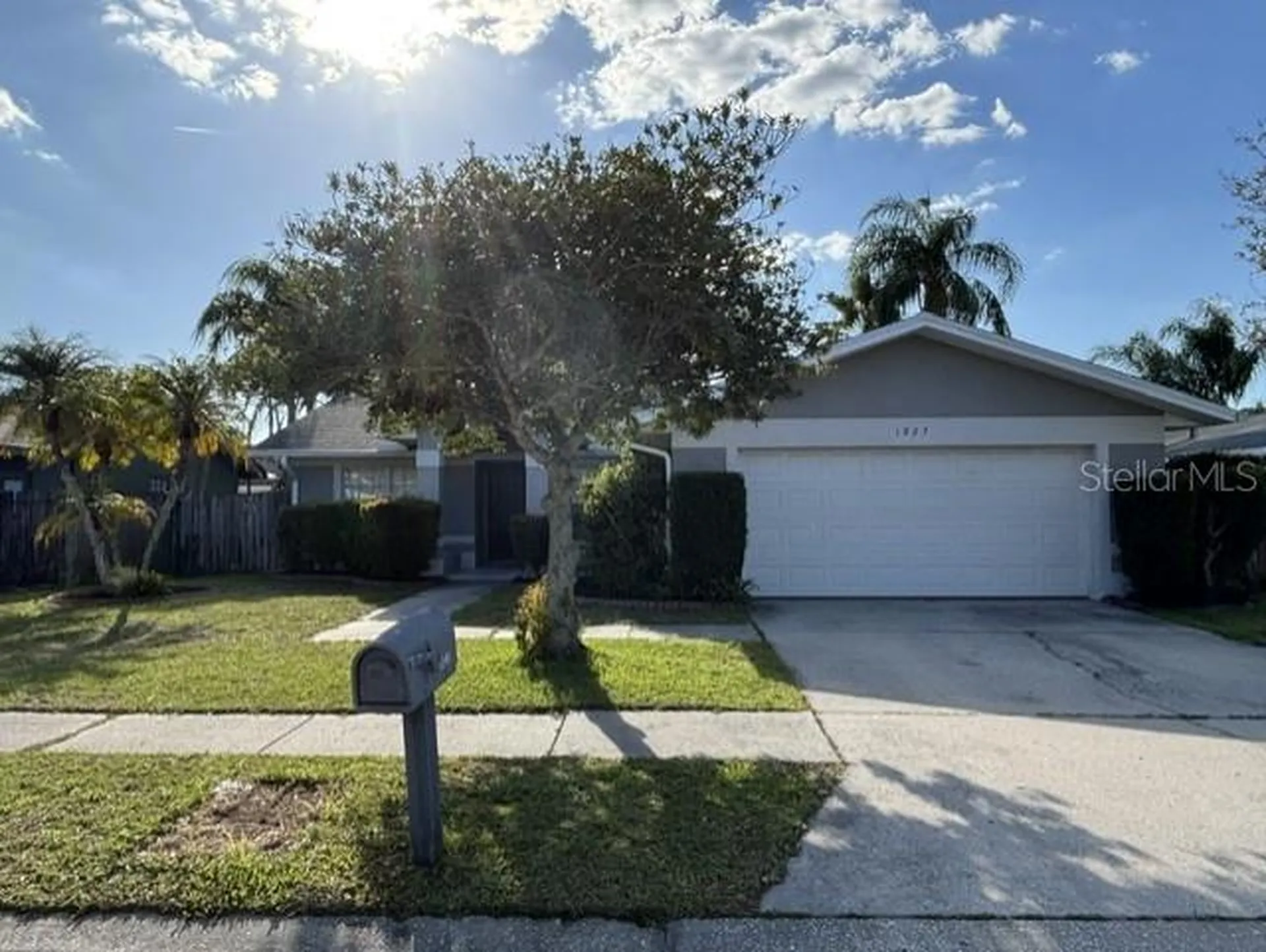 1927 Cheney Court Lutz FL 33549