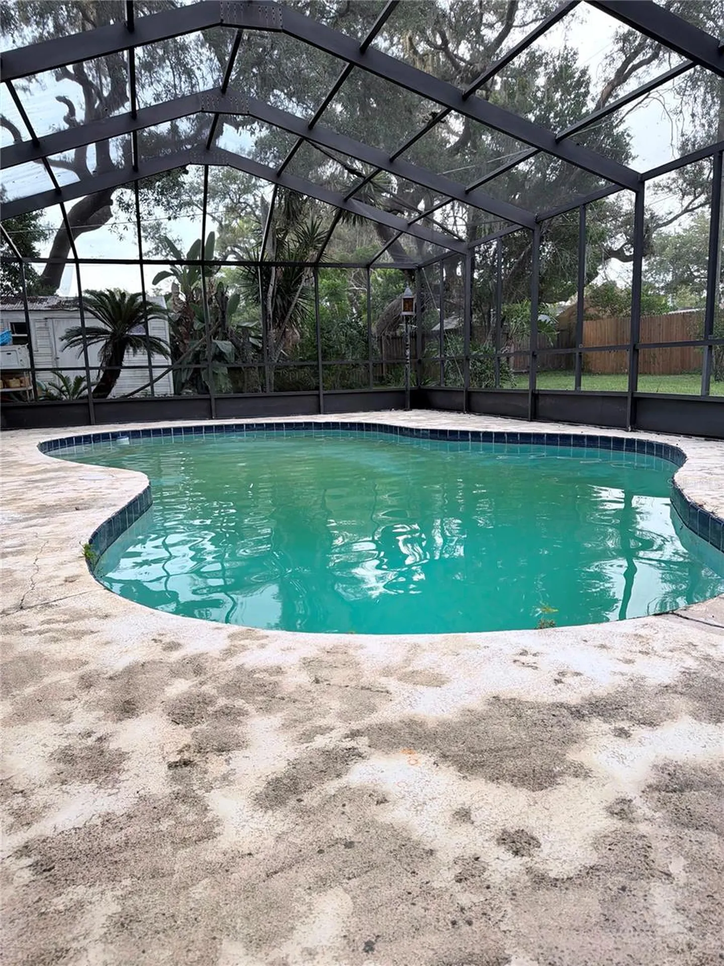 5126 Rolling Hills Court Tampa FL 33617