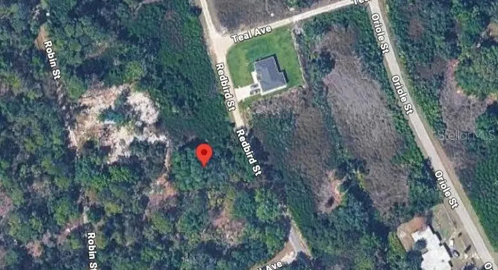 1030 Redbird Street Lake Placid FL 33852