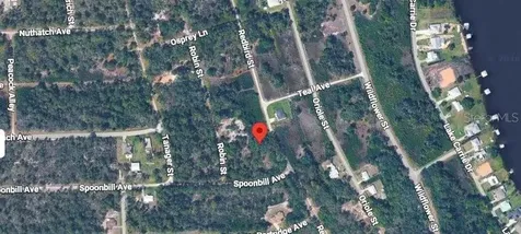 1030 Redbird Street Lake Placid FL 33852