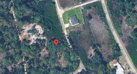 1030 Redbird Street Lake Placid FL 33852
