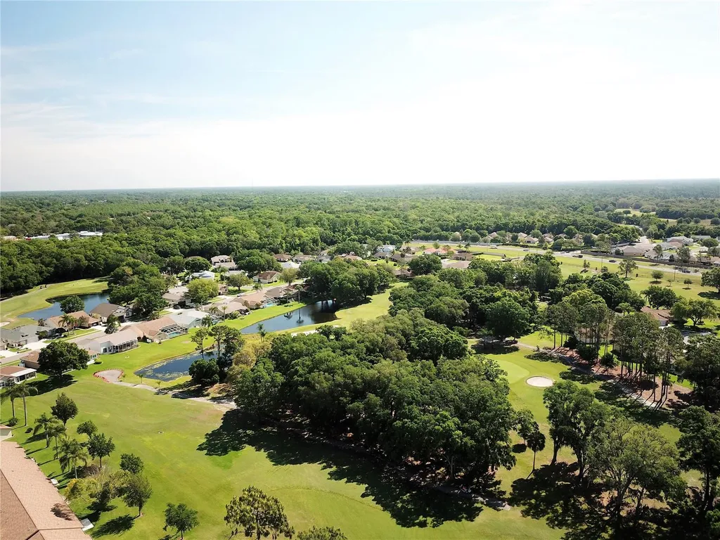 10029 Brookdale Drive New Port Richey FL 34655