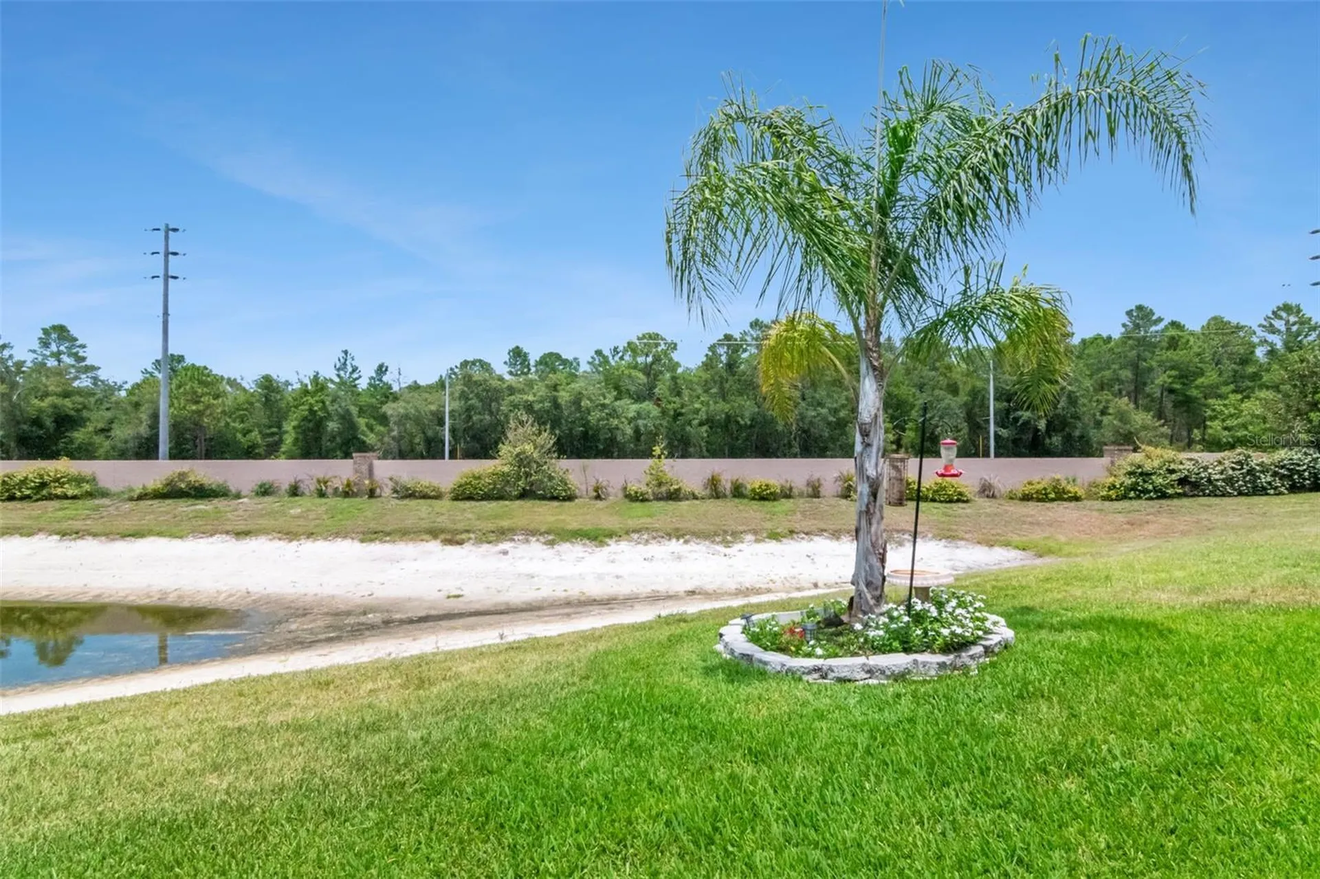 10029 Brookdale Drive New Port Richey FL 34655