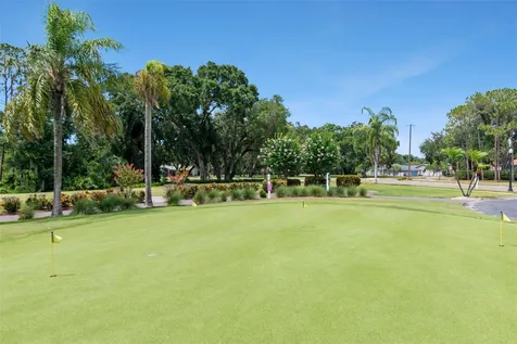 10029 Brookdale Drive New Port Richey FL 34655