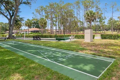 10029 Brookdale Drive New Port Richey FL 34655