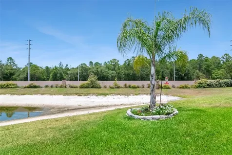 10029 Brookdale Drive New Port Richey FL 34655