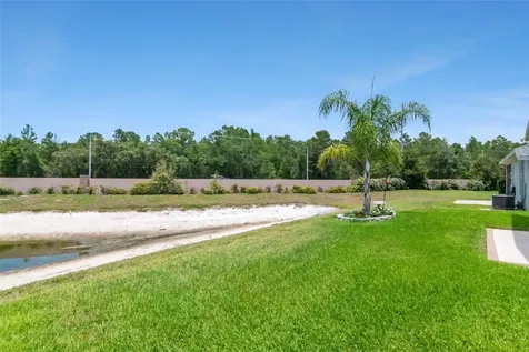 10029 Brookdale Drive New Port Richey FL 34655