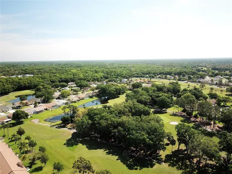 10029 Brookdale Drive New Port Richey FL 34655