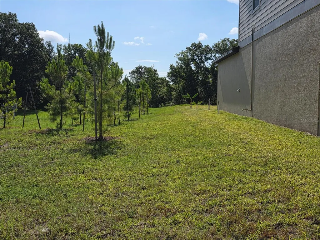 12588 Timber Moss Lane Riverview FL 33579