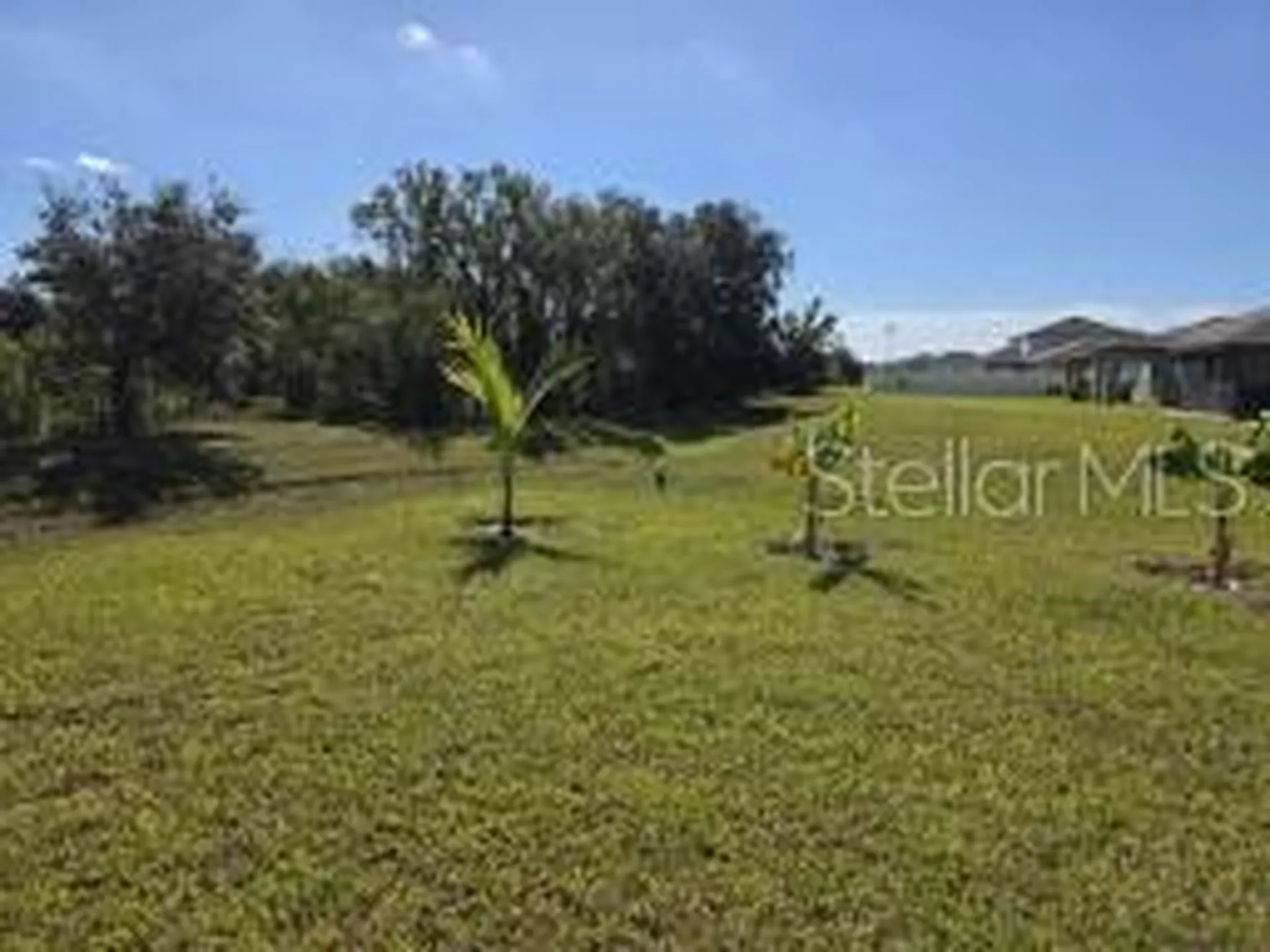 12588 Timber Moss Lane Riverview FL 33579