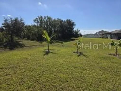 12588 Timber Moss Lane Riverview FL 33579