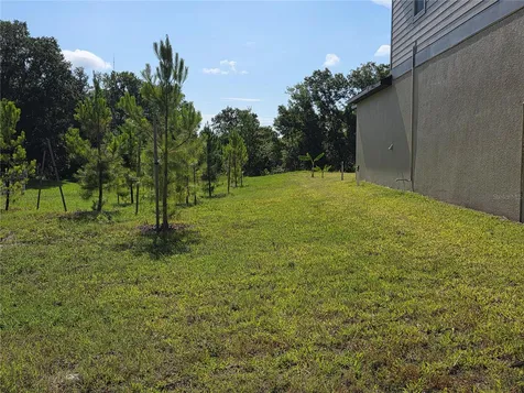 12588 Timber Moss Lane Riverview FL 33579