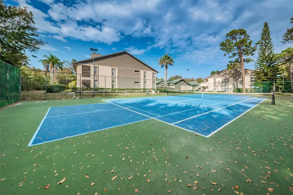 3165 Landmark Drive Clearwater FL 33761
